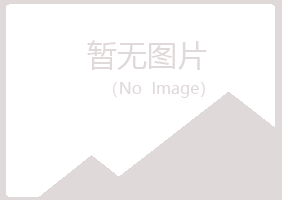 偃师宿命材料有限公司